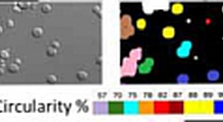 Image classification example